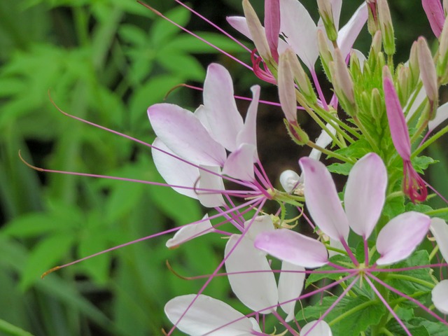 Day Trips Near Topeka, KS - Cable Dahmer Cadillac of Topeka