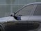 2026 Cadillac LYRIQ Signature Sport