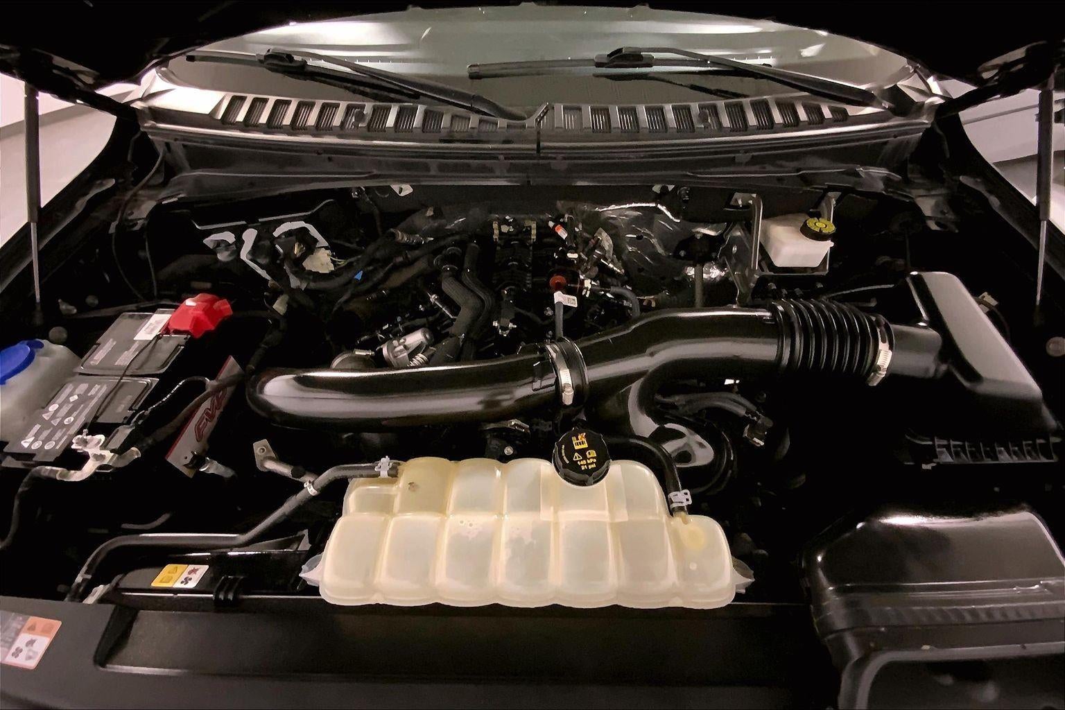 2024 Ford Expedition XLT