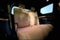 2025 Jeep Grand Cherokee L Summit 4x4